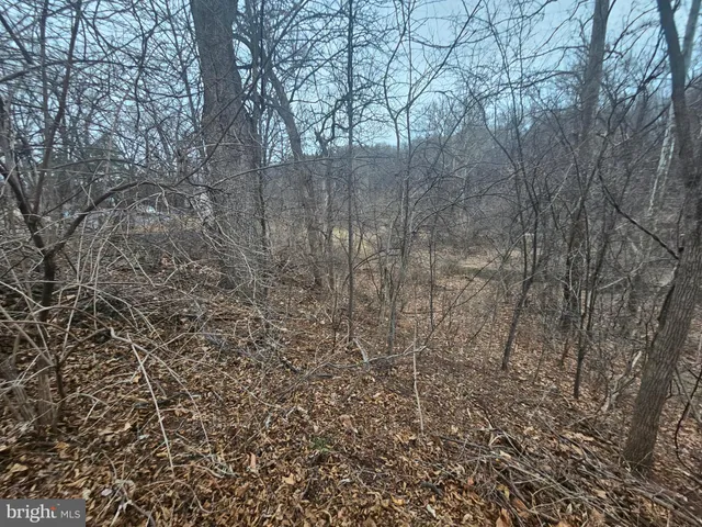 a view of a yard with a trees