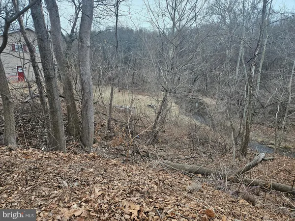 a view of a yard