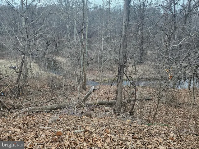 a view of a dry yard with trees and wooden fence