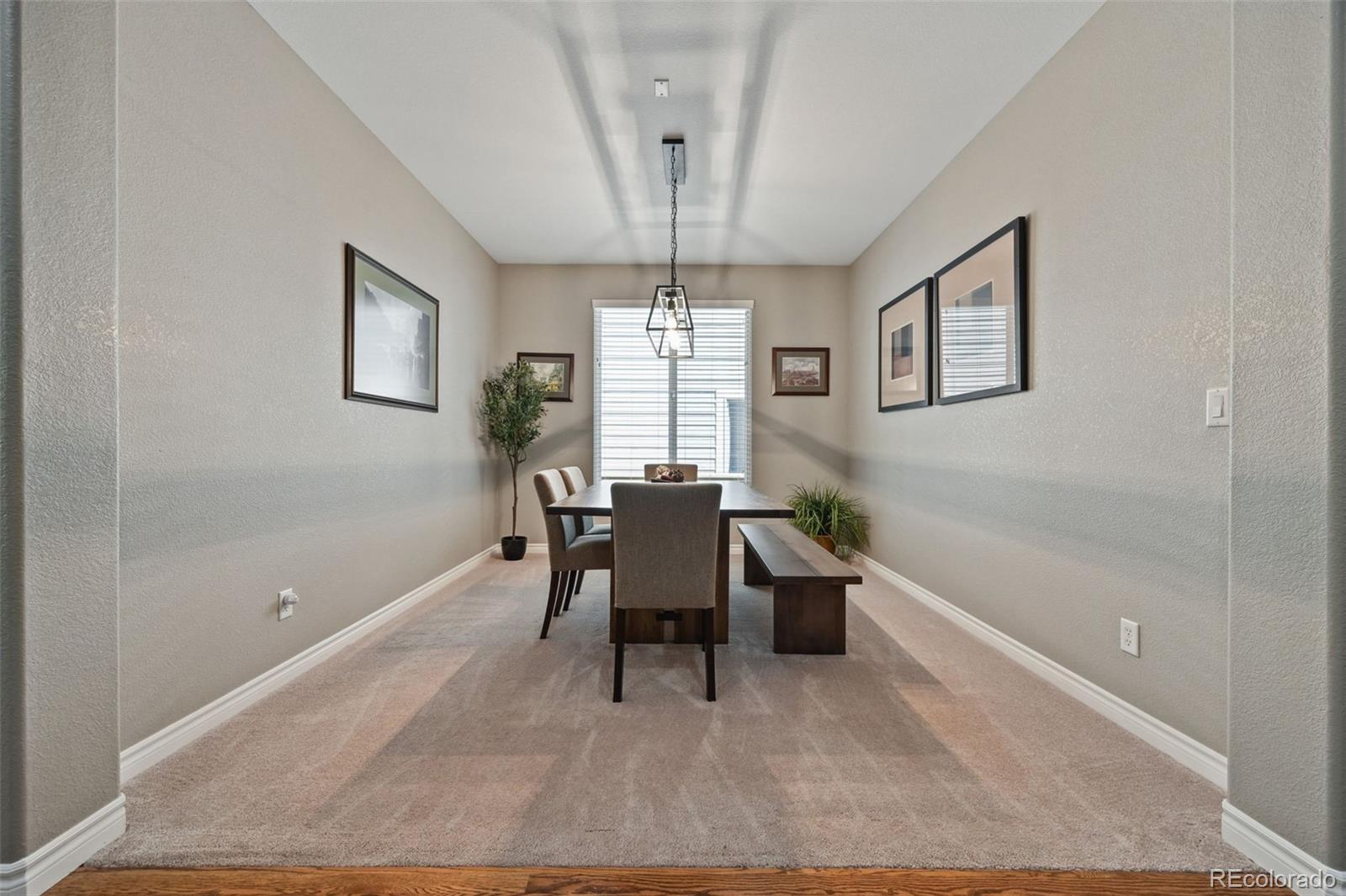 10987 Bluegate Way Highlands Ranch, CO 80130 - Photo 13 of 31 Gallery Image 13