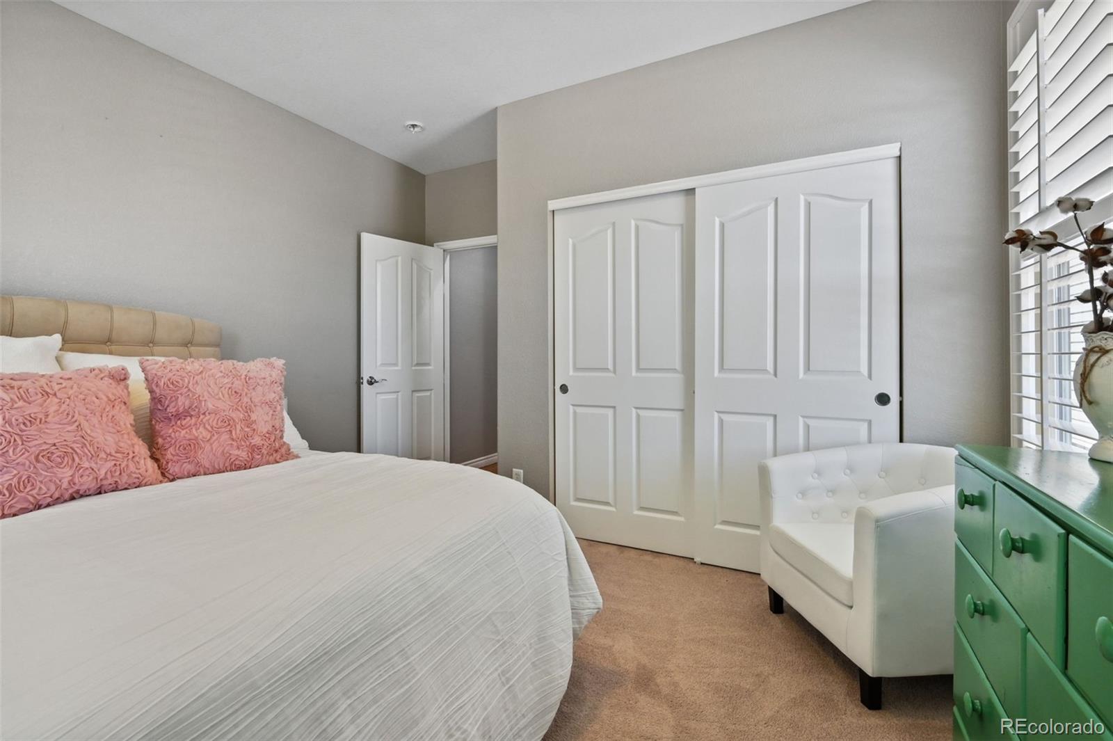 10987 Bluegate Way Highlands Ranch, CO 80130 - Photo 20 of 31 Gallery Image 20