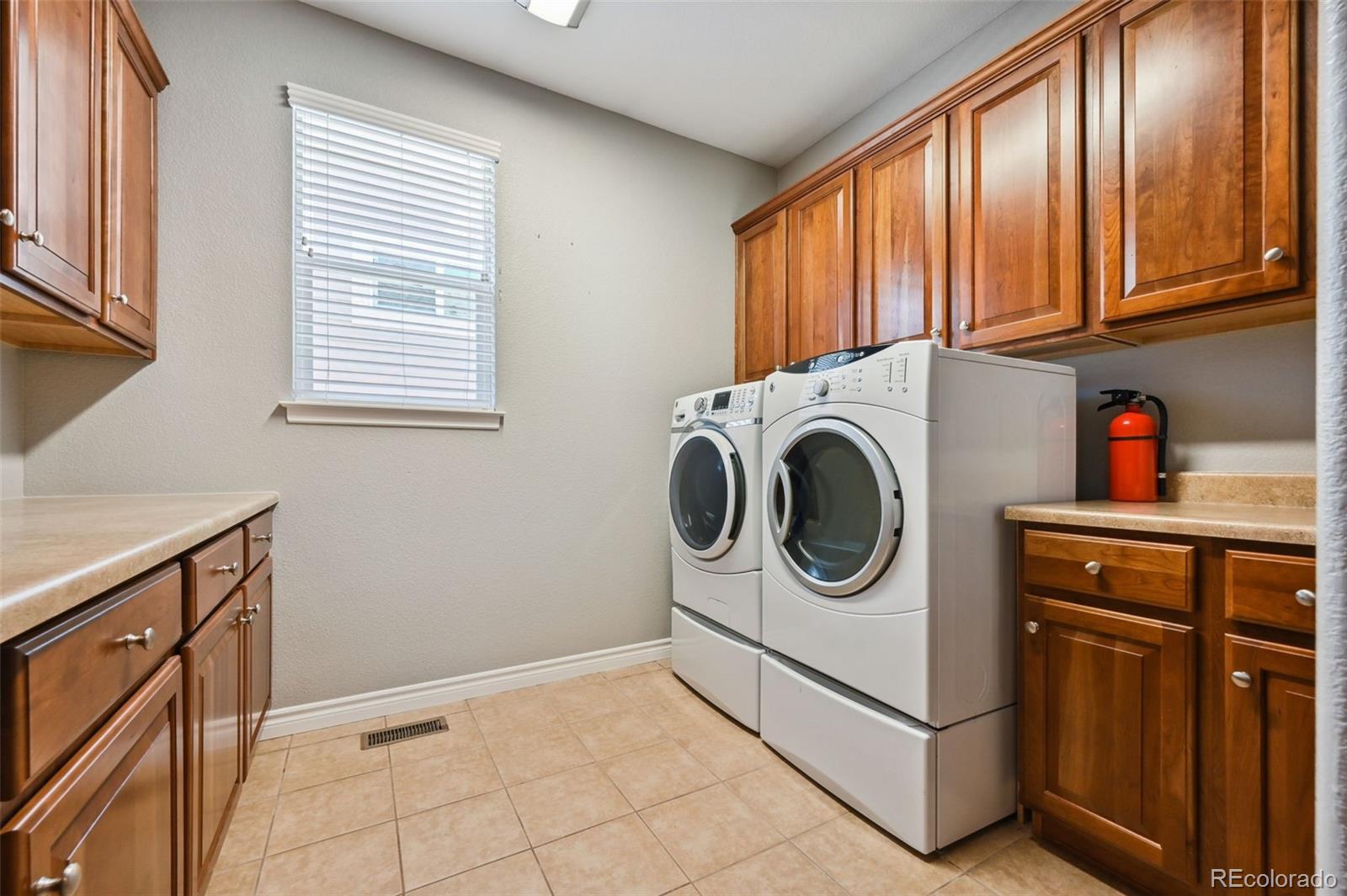 10987 Bluegate Way Highlands Ranch, CO 80130 - Photo 23 of 31 Gallery Image 23