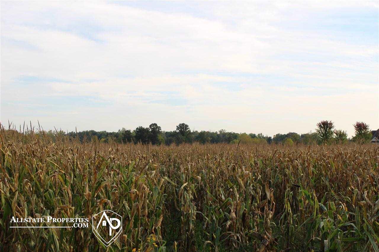 Potter Road Davison, MI 48423 - Photo 1 of 1 Gallery Image 1