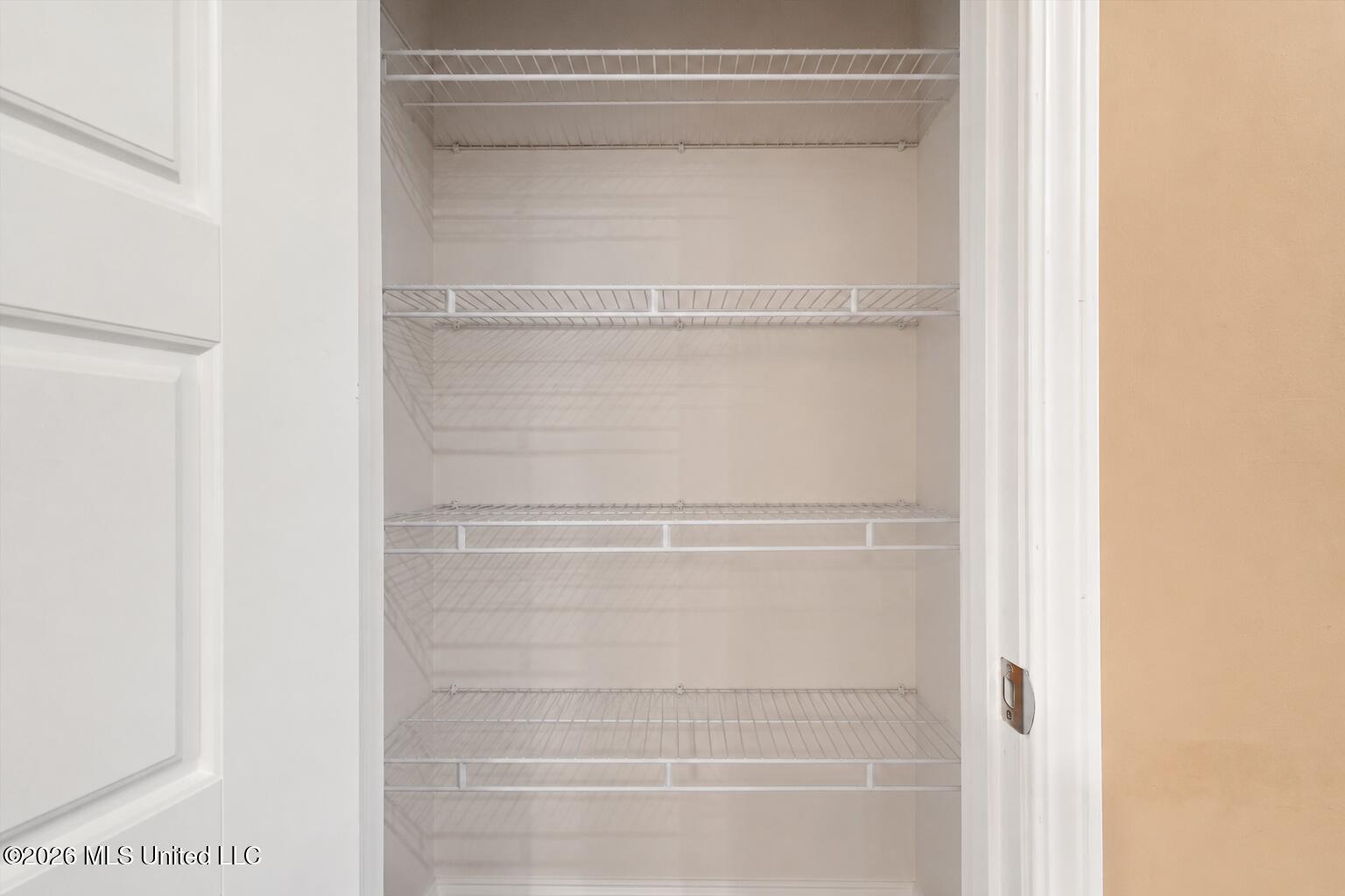 814 Stones Throw Drive Brandon, MS 39042 - Photo 6 of 27 Pantry