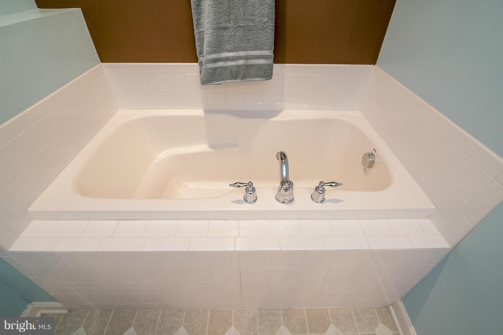 43 Dunmore Court Falling Waters, WV 25419 - Photo 21 of 30 Bath (Master)