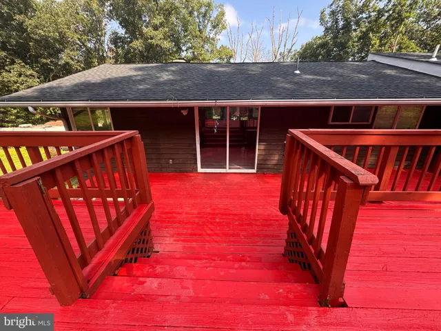 a view of a garden with plants
