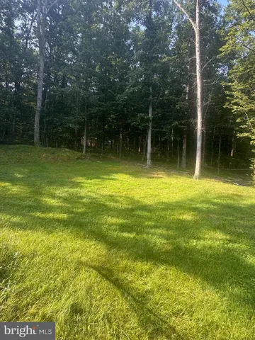 a view of a yard with swimming pool