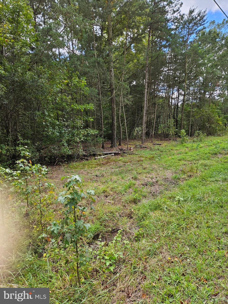 Woodville Road Waldorf, MD 20601 - Photo 2 of 3
