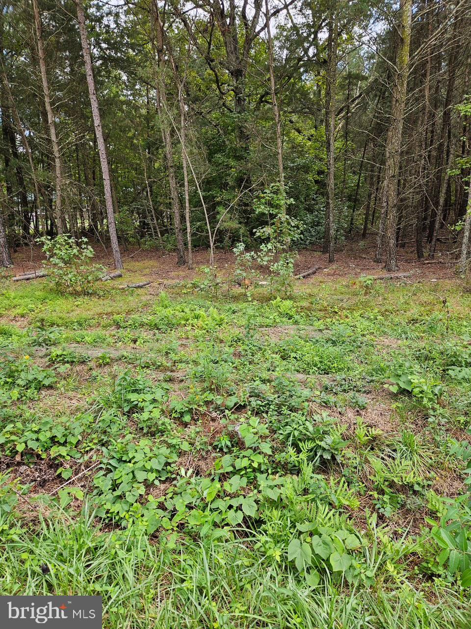 Woodville Road Waldorf, MD 20601 - Photo 3 of 3