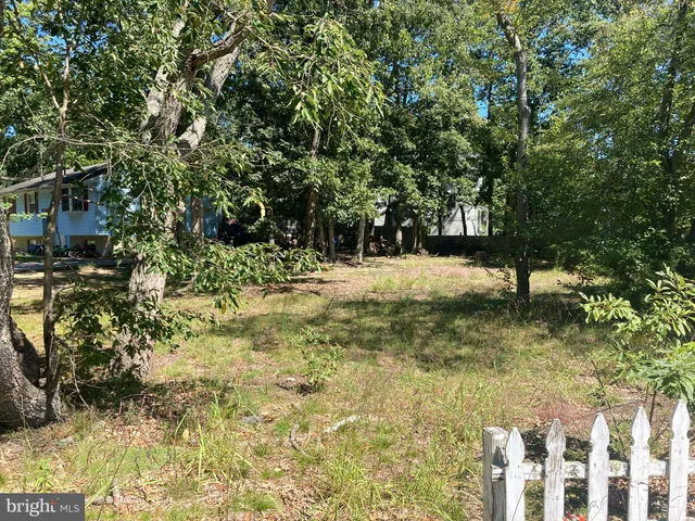 a view of a yard with plants and trees