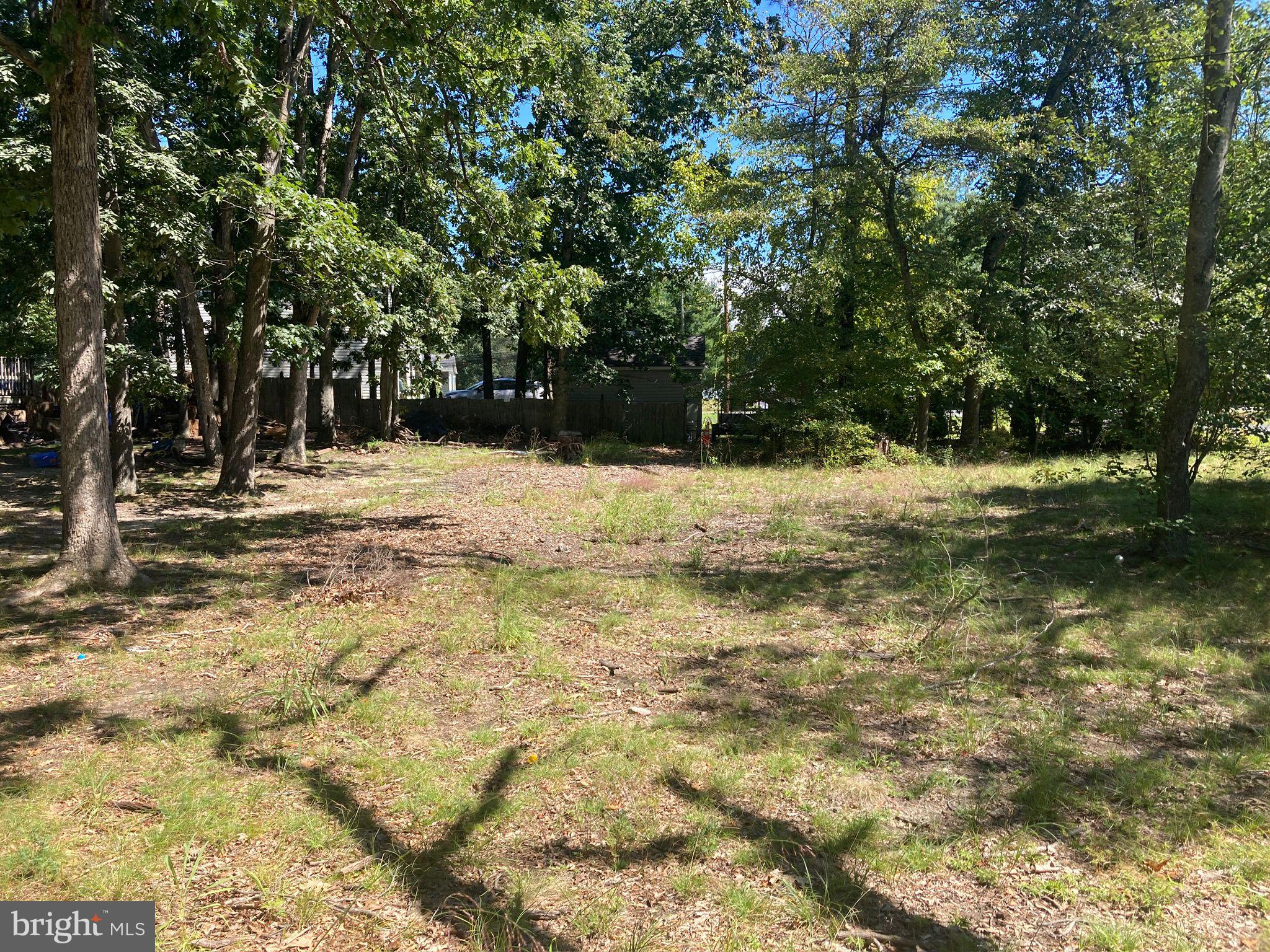 124 Idle Lake Road Franklinville, NJ 08322 - Photo 2 of 9 a view of a yard with a tree