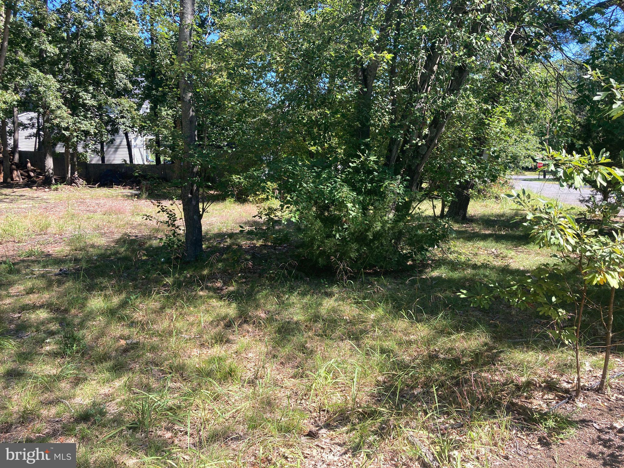 124 Idle Lake Road Franklinville, NJ 08322 - Photo 3 of 9 a view of yard with green space