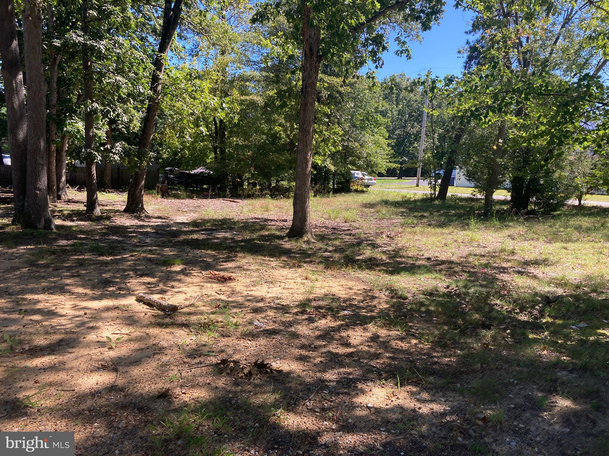 124 Idle Lake Road Franklinville, NJ 08322 - Photo 4 of 9 a view of outdoor space with trees