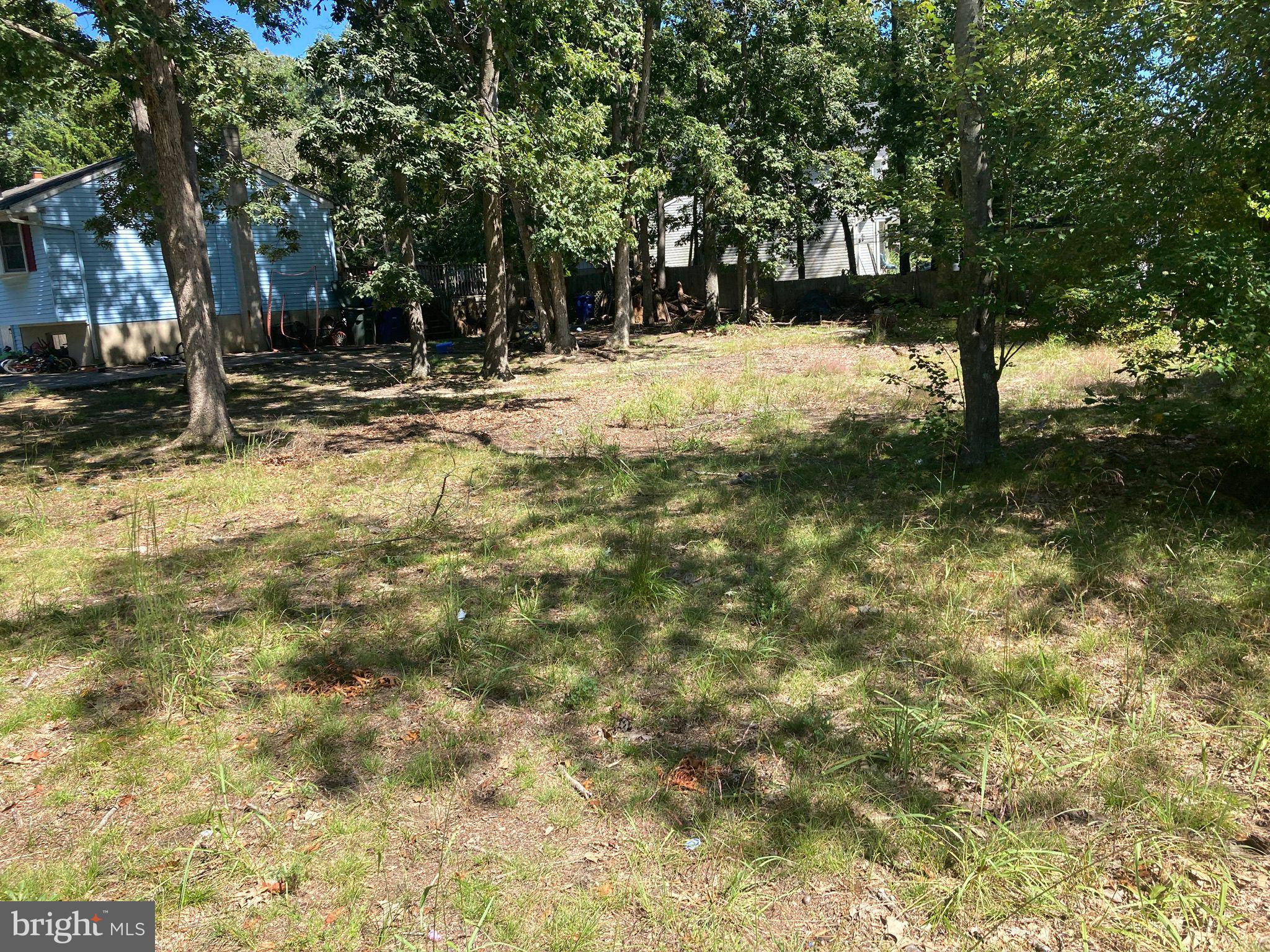 124 Idle Lake Road Franklinville, NJ 08322 - Photo 7 of 9 a view of road with trees