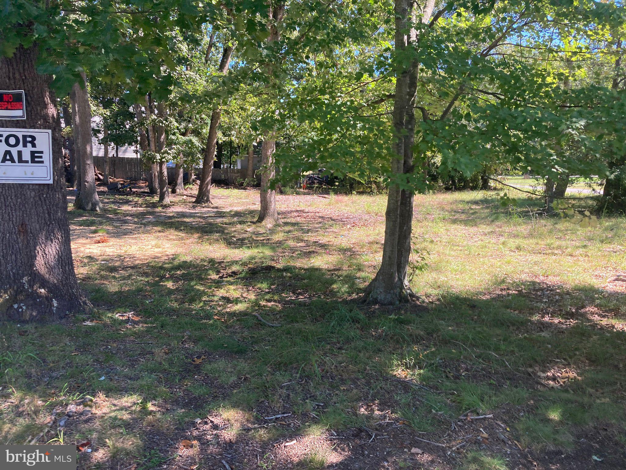 124 Idle Lake Road Franklinville, NJ 08322 - Photo 8 of 9 a view of yard with trees