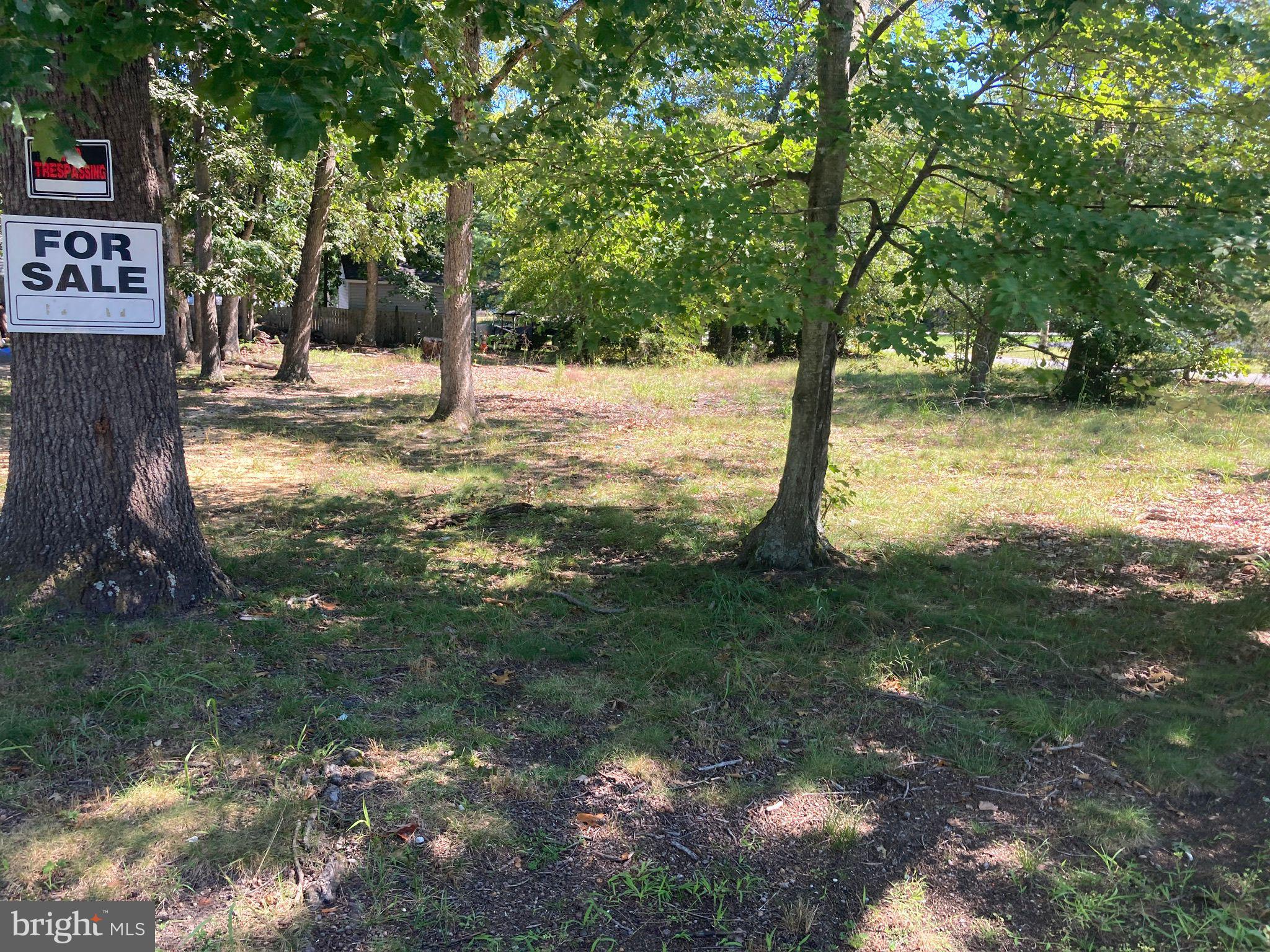 124 Idle Lake Road Franklinville, NJ 08322 - Photo 9 of 9 a view of yard