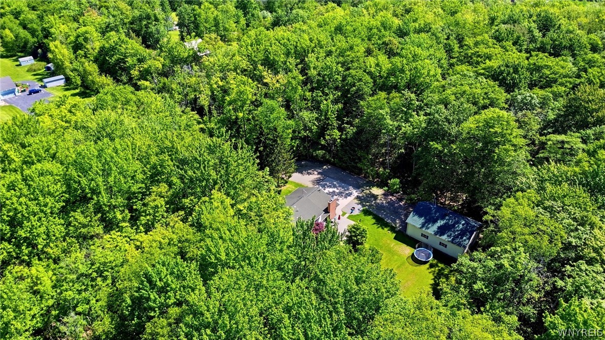 5430 Keller Road Boston, NY 14075 - Photo 4 of 44
