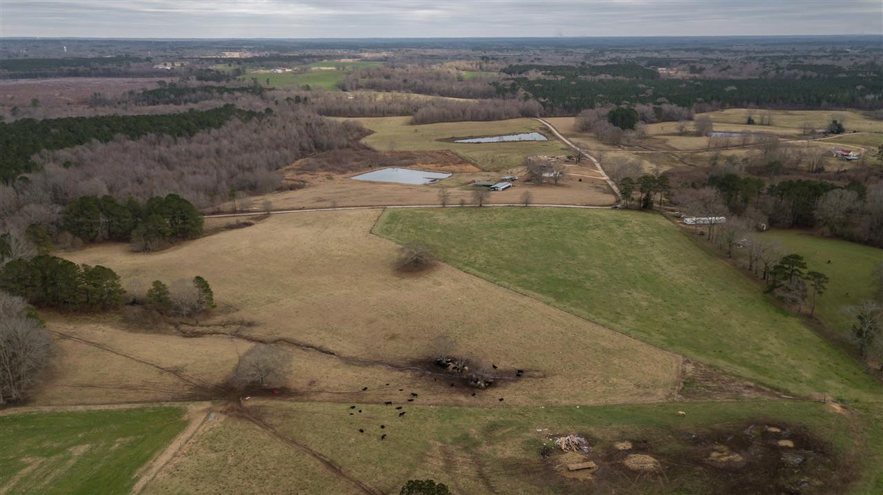 0 Kiley Bailey Road, Unit PARCEL 7 Mendenhall, MS 39114 - Photo 22 of 26 Photo 22
