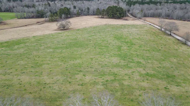 $47,700 | 0 Kiley Bailey Road, Unit PARCEL 7, Mendenhall, MS 39114