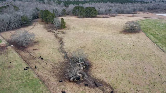 $47,700 | 0 Kiley Bailey Road, Unit PARCEL 7, Mendenhall, MS 39114