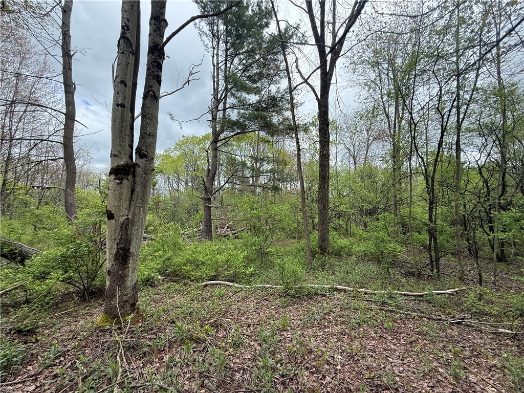 Caswell Road Freeville, NY 13068 - Photo 17 of 47