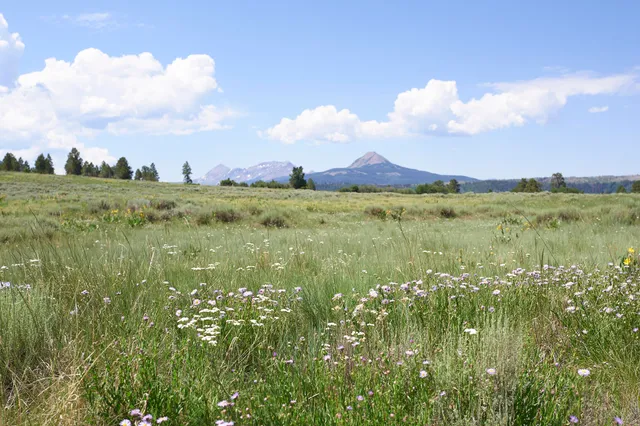 a view of an lake and houses