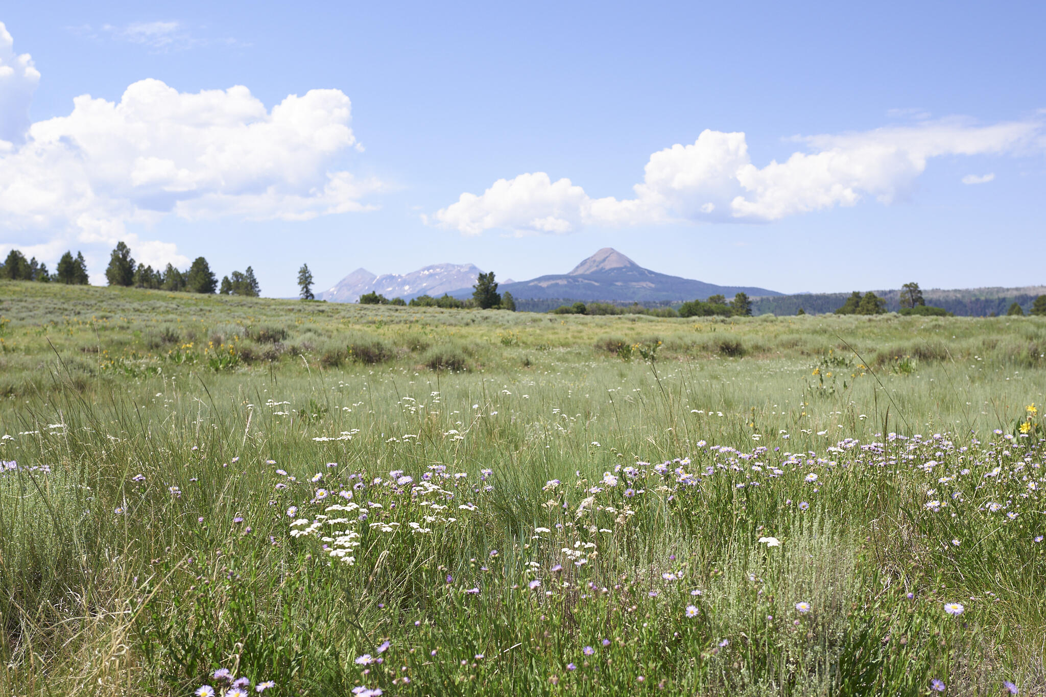 17 Dragon Lode Drive Placerville, CO 81430 - Photo 11 of 31 a view of an lake and houses