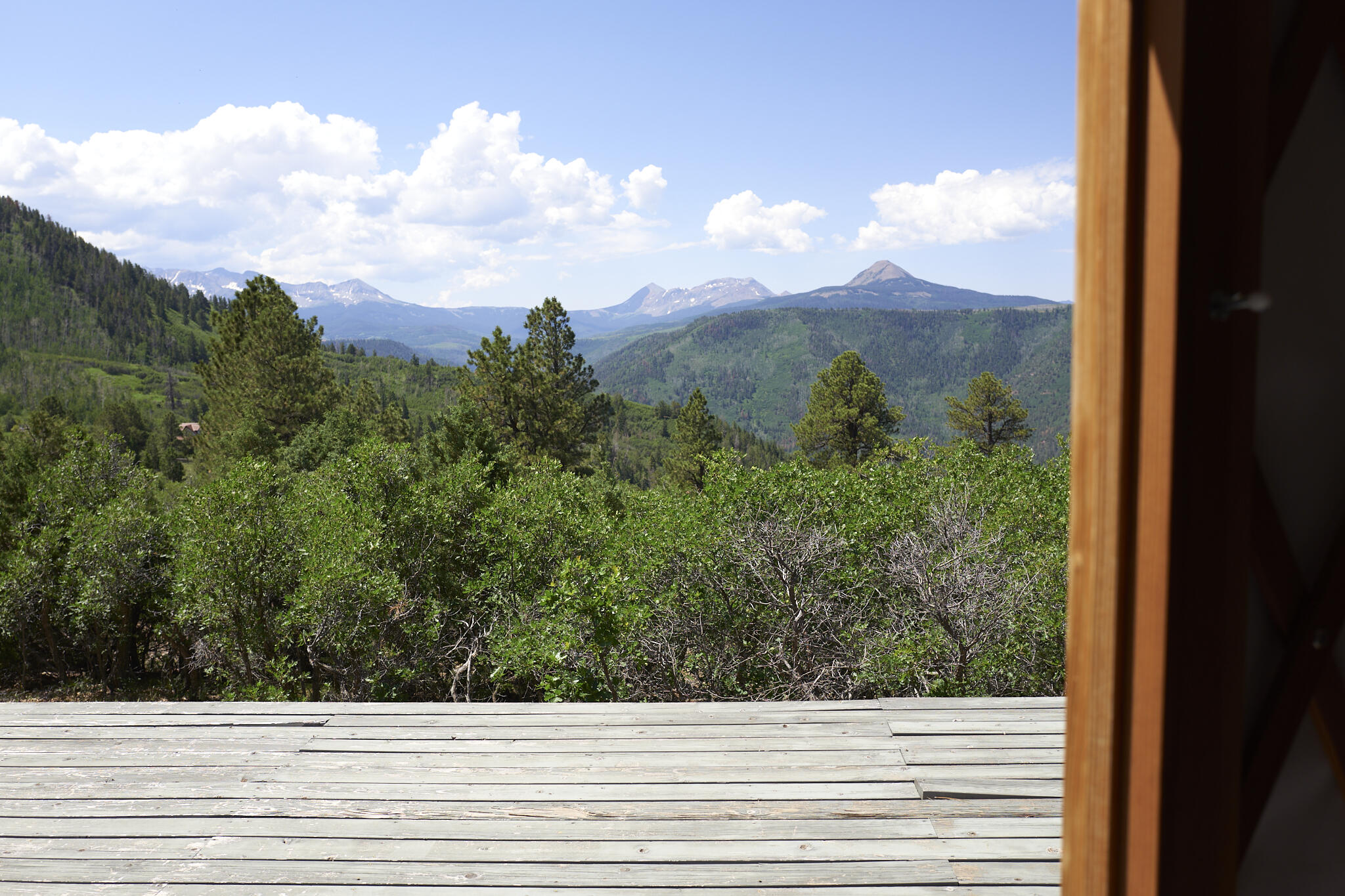17 Dragon Lode Drive Placerville, CO 81430 - Photo 16 of 31 a view of a yard from a window