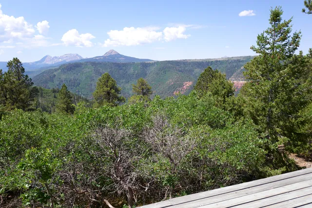 an aerial view of a house with mountain view