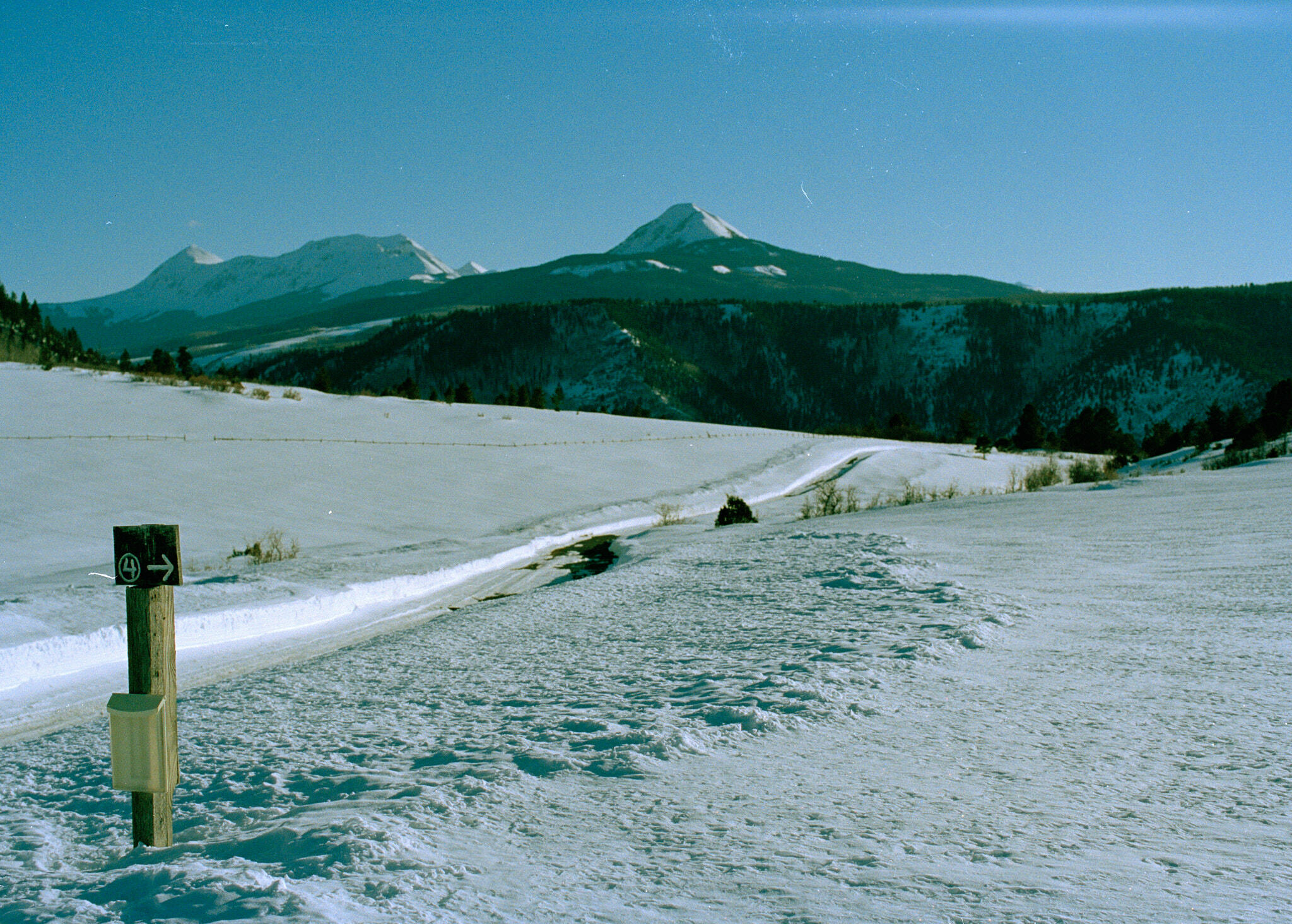 17 Dragon Lode Drive Placerville, CO 81430 - Photo 20 of 31 a view of a backyard