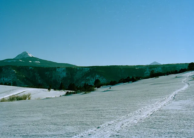 a view of a street with a houses