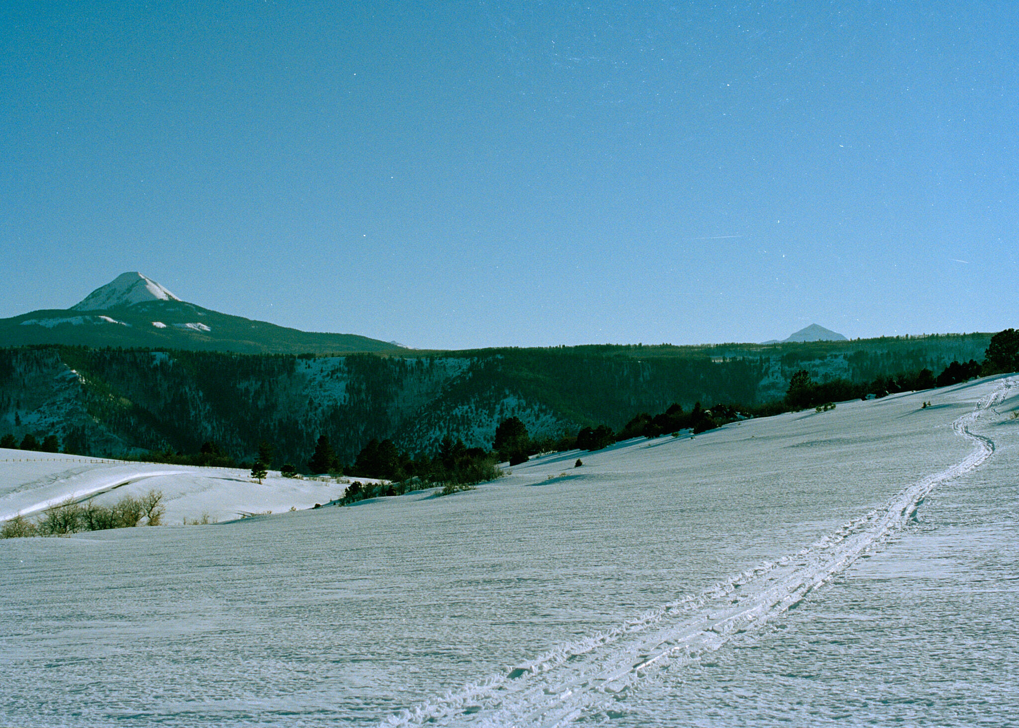 17 Dragon Lode Drive Placerville, CO 81430 - Photo 21 of 31