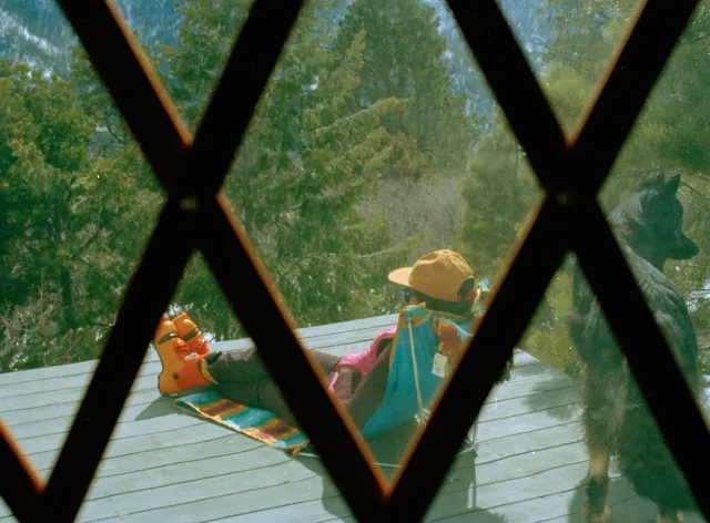 a view of a lush green hillside and a houses