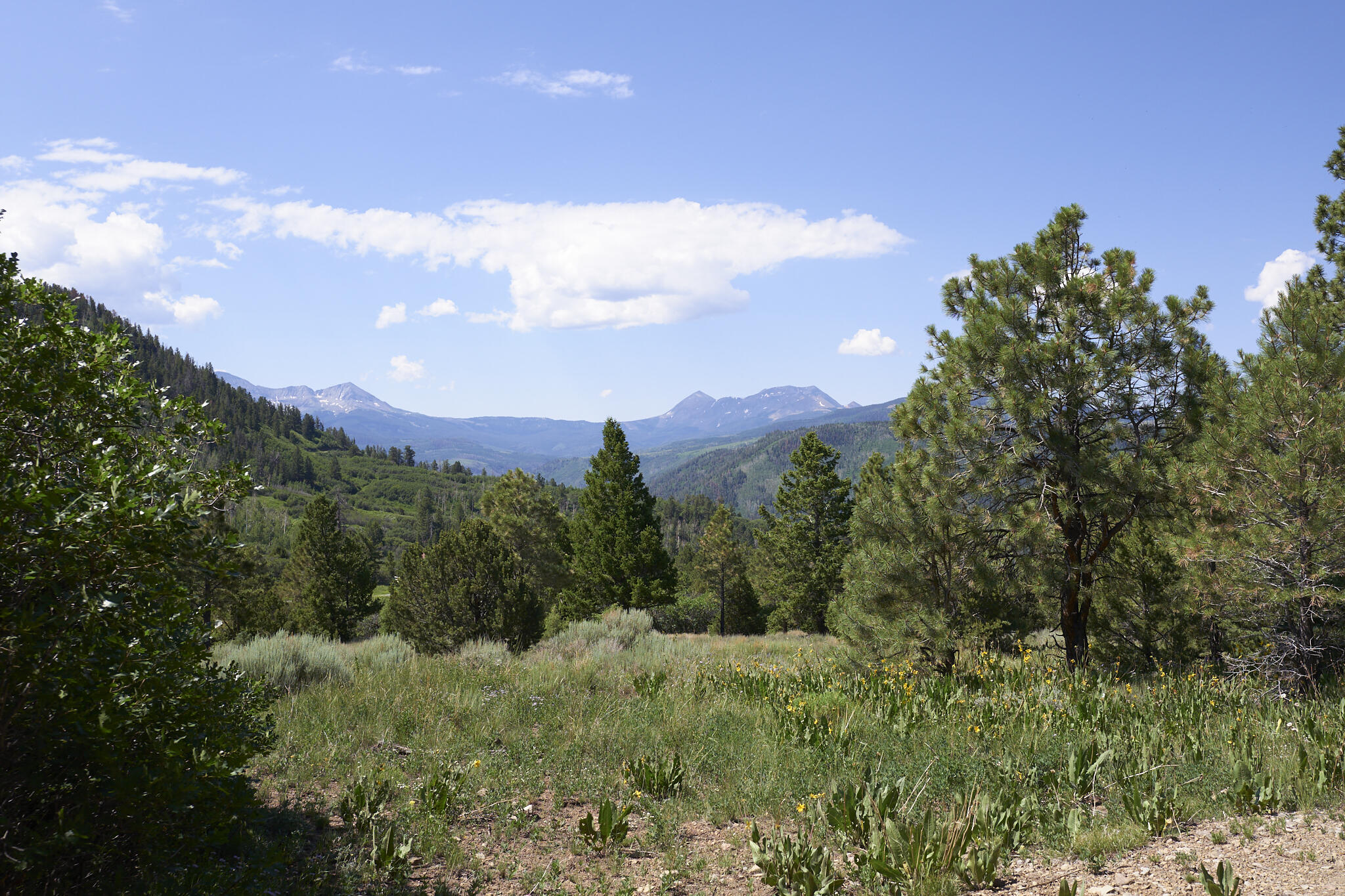 17 Dragon Lode Drive Placerville, CO 81430 - Photo 3 of 31 a view of a city and a mountain