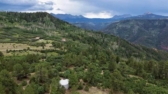 a view of a lush green forest with mountains in the background