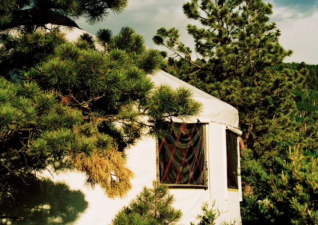 a view of a house with a tree