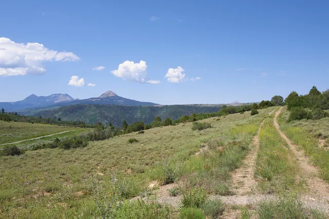 a view of a dry yard with mountains in the background