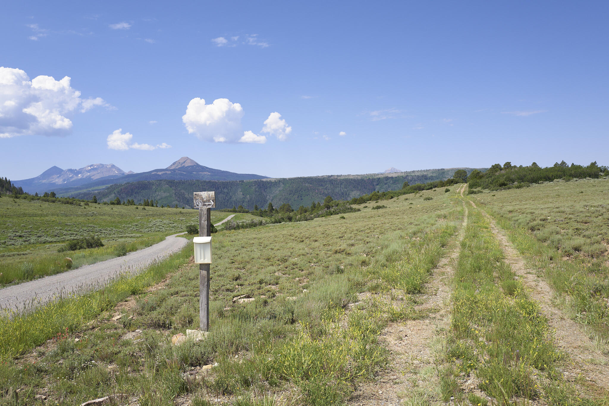 17 Dragon Lode Drive Placerville, CO 81430 - Photo 9 of 31 a view of a lake with a mountain in the background