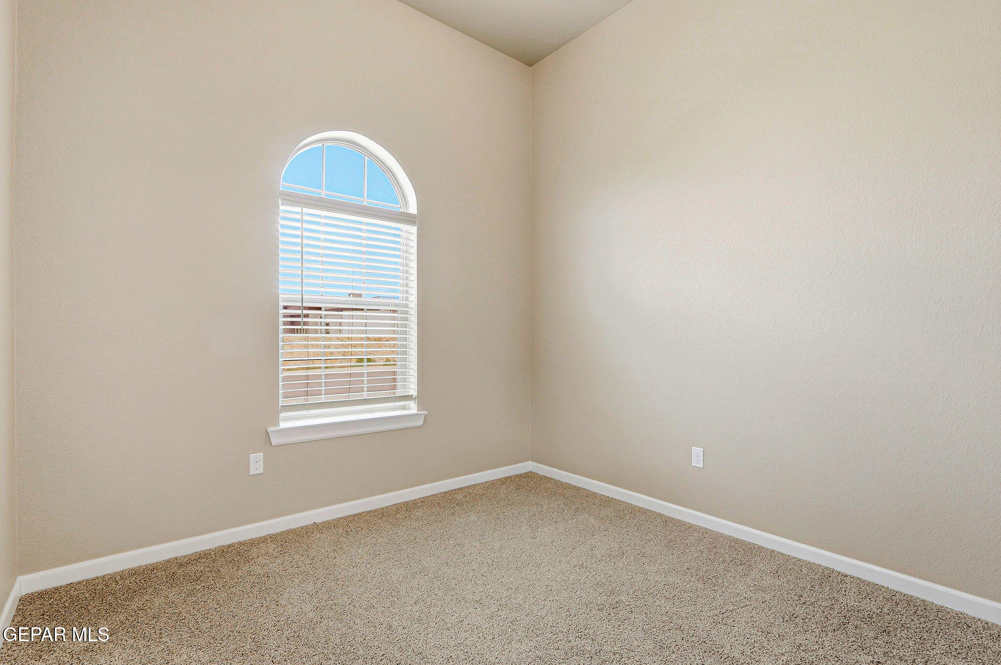 5933 Ruidoso Downs Street El Paso, TX 79932 - Photo 19 of 20 4-web-or-mls-IMG_8880