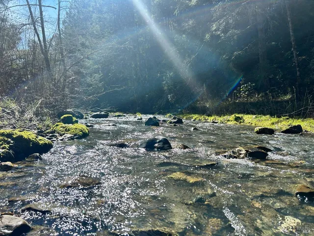a bunch of trees with a wooden fence