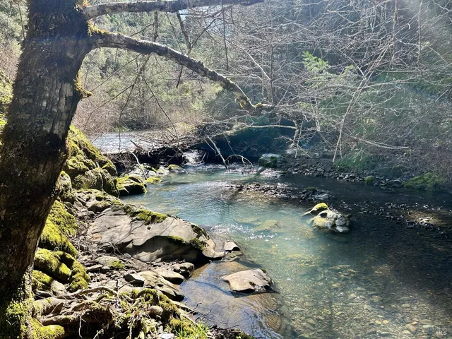 a view of swimming pool with a yard