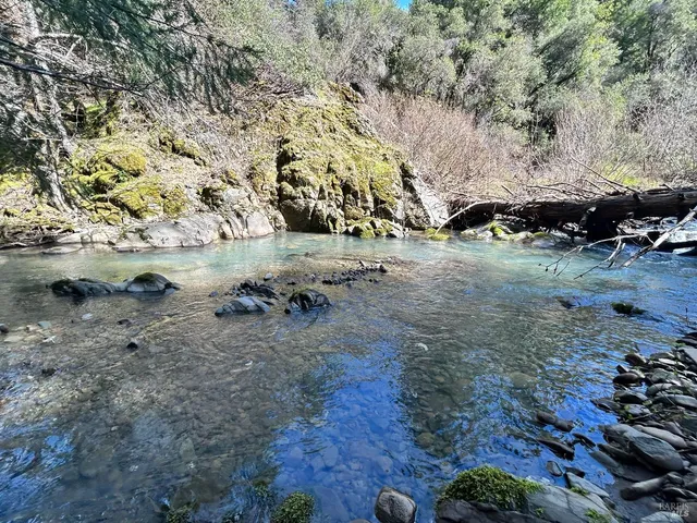a view of dirt yard with a tree