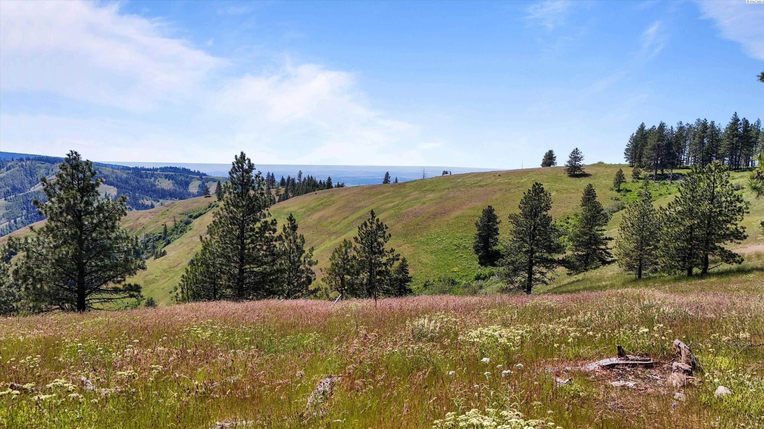 Unk10 Blacksnake Ridge Road Walla Walla, WA 99362 - Photo 22 of 48 Gallery Image 22