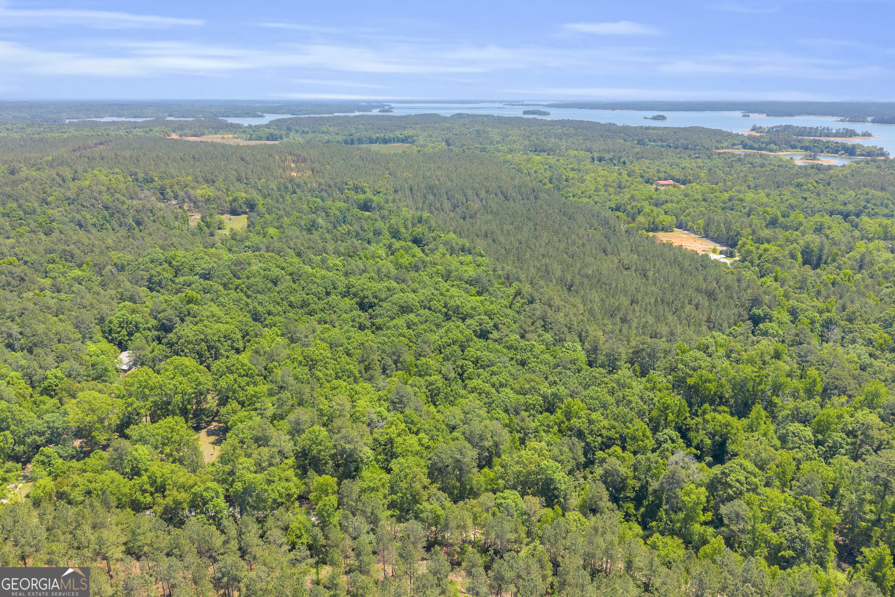 0 Hidden Harbor Road Lincolnton, GA 30817 - Photo 46 of 58