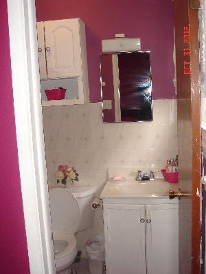 140 North Pinecrest Road Bolingbrook, IL 60440 - Photo 8 of 13 a bathroom with a sink vanity and toilet