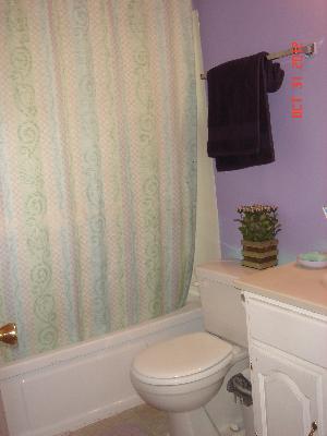 140 North Pinecrest Road Bolingbrook, IL 60440 - Photo 10 of 13 a bathroom with a toilet and a shower curtain