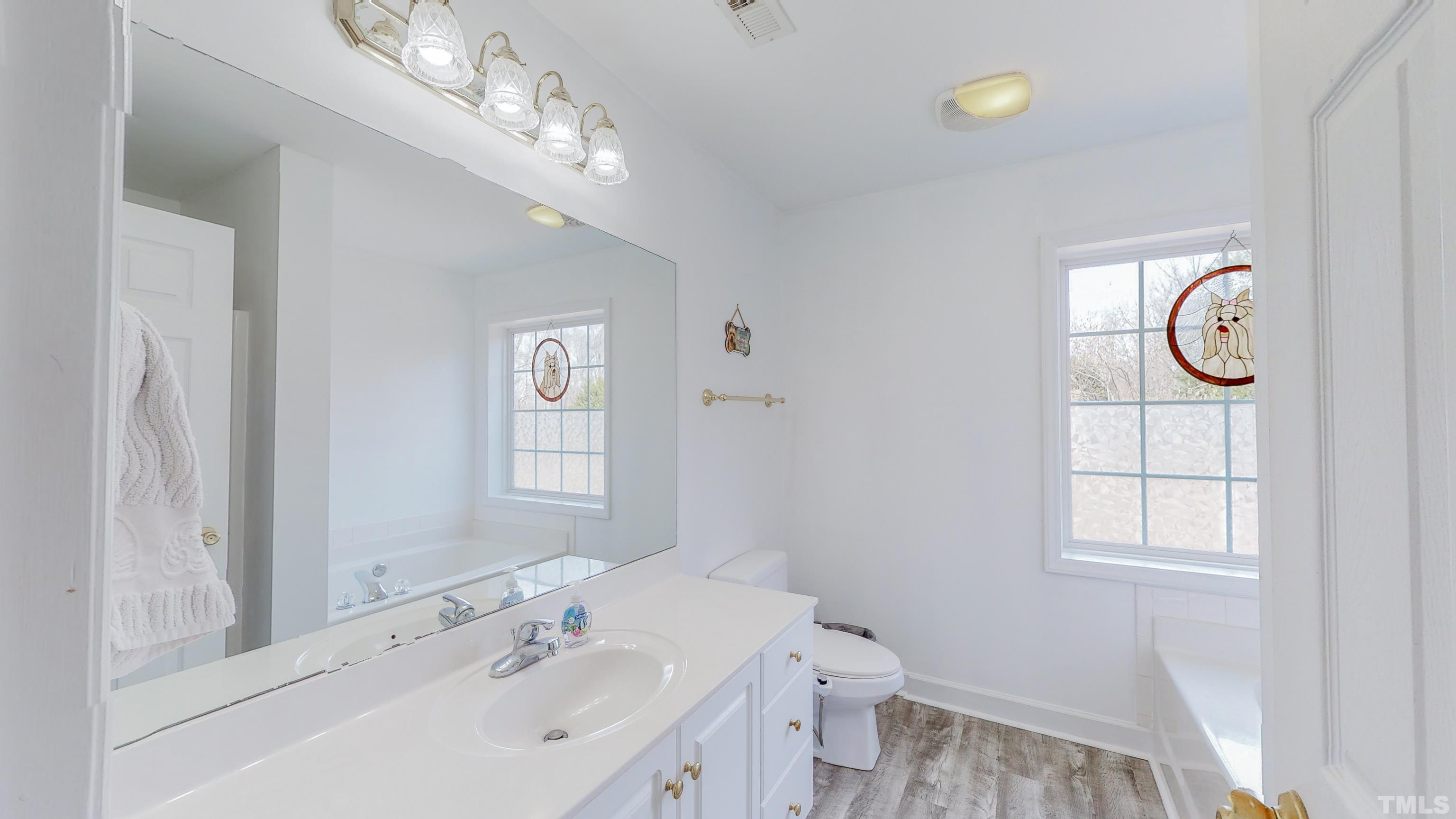 145 Deep Creek Point Rougemont, NC 27572 - Photo 19 of 52 a bathroom with a sink a light fixture and a window