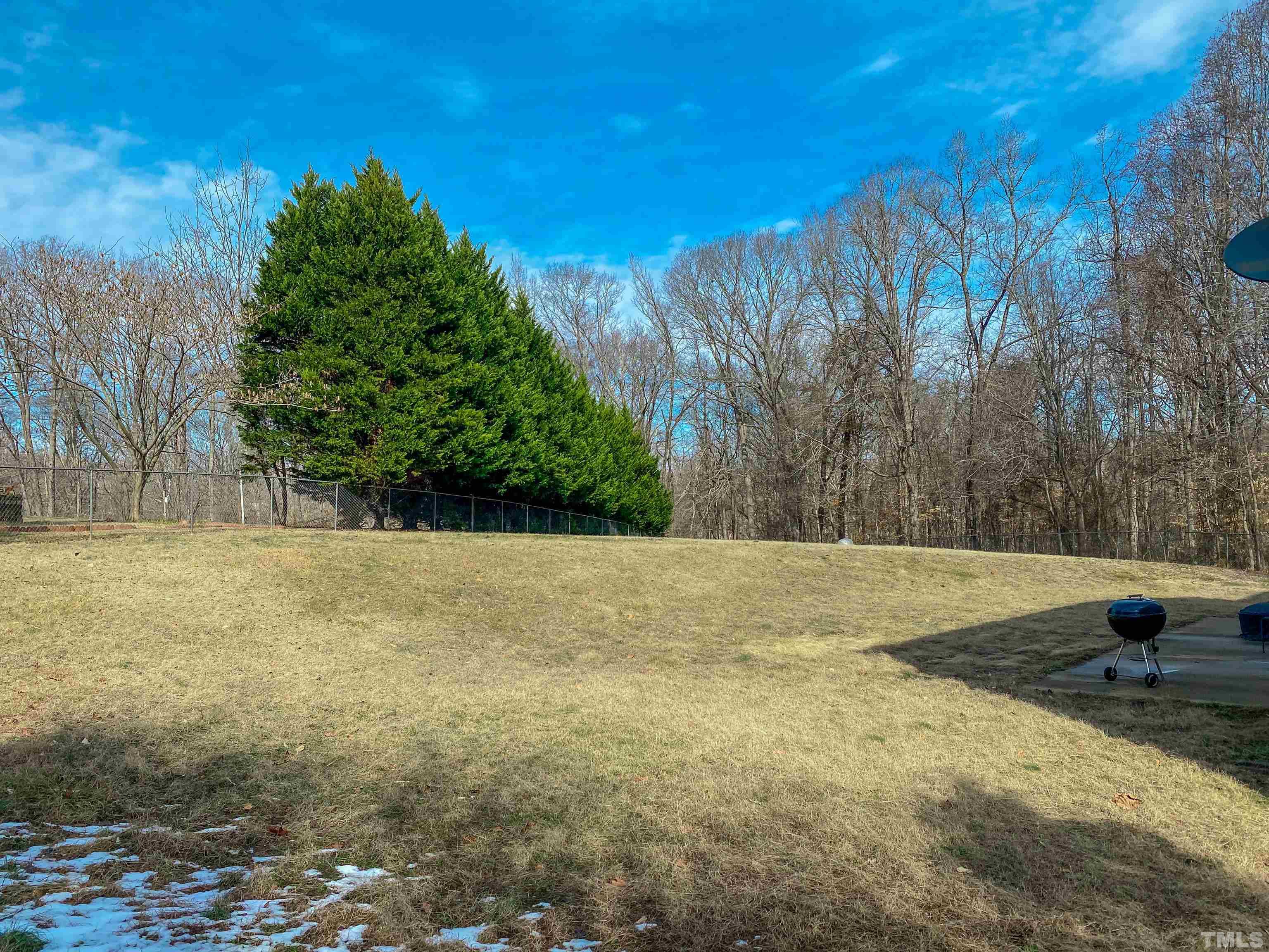145 Deep Creek Point Rougemont, NC 27572 - Photo 40 of 52 a view of yard with swimming pool