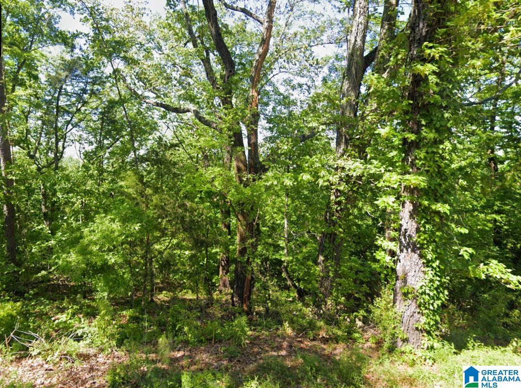 0 Glovers Ferry Road Alpine, AL 35014 - Photo 2 of 12