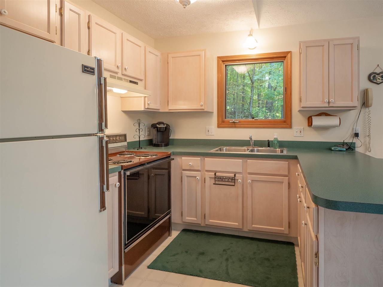 1787 East Old Mountain Road Cedar, MI 49621 - Photo 12 of 49 1894201-11.JPG